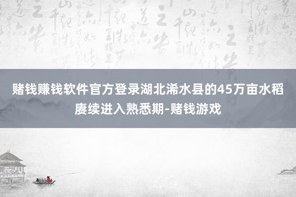 赌钱赚钱软件官方登录湖北浠水县的45万亩水稻赓续进入熟悉期-赌钱游戏